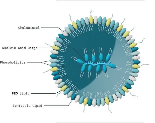 Scientists Develop Smart Nanoparticles That Could Revolutionize Oral Cancer Treatment